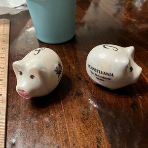 Pennsylvania Salt and pepper set